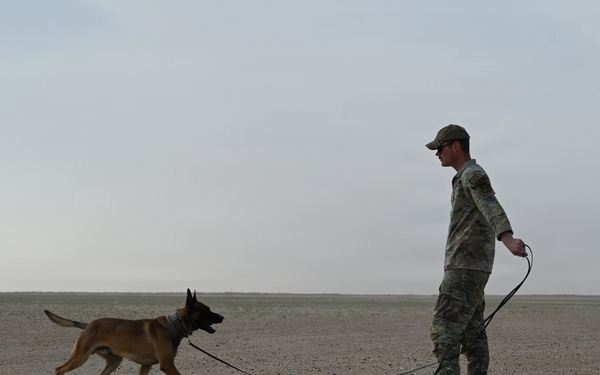 U.S Air Force Military Working Dog Supports Deployed Operations