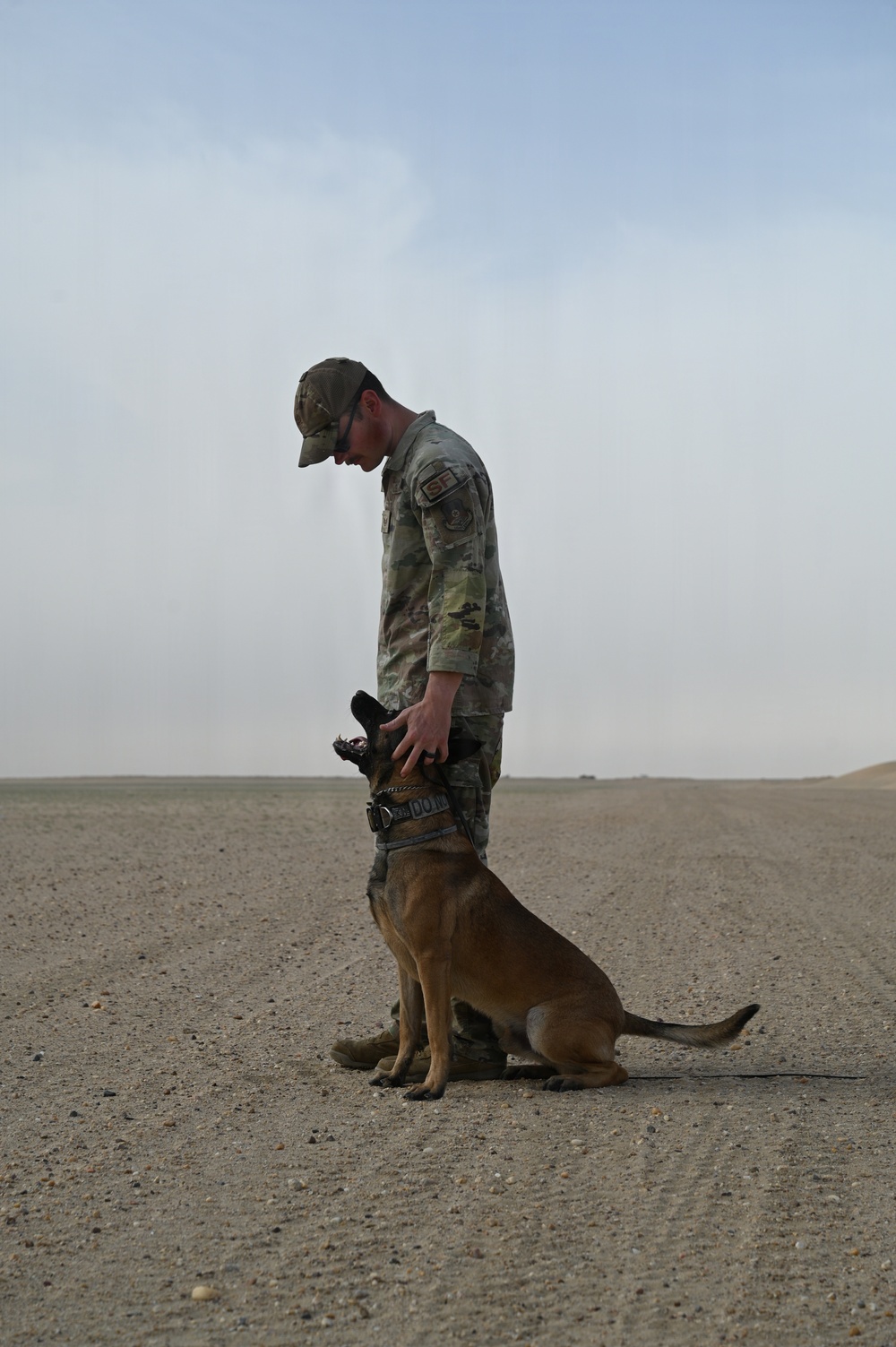 U.S Air Force Military Working Dog Supports Deployed Operations