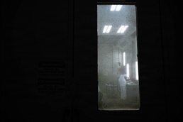 The last coat before flight