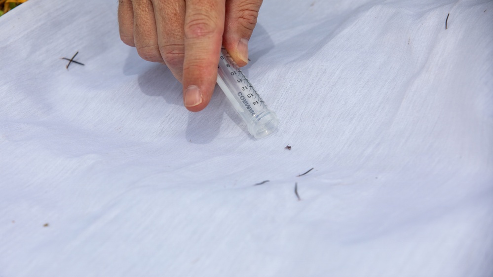 Innovation, bio-surveillance enhance force health protection during Justified Accord 2026