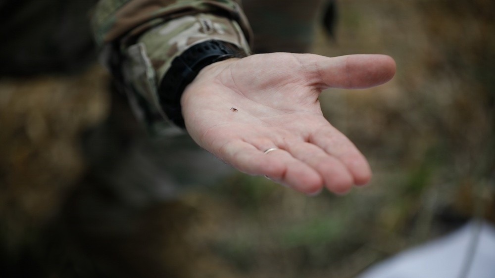 Innovation, bio-surveillance enhance force health protection during Justified Accord 2026