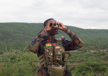 Multinational forces execute joint dry-fire drills during Justified Accord 2026