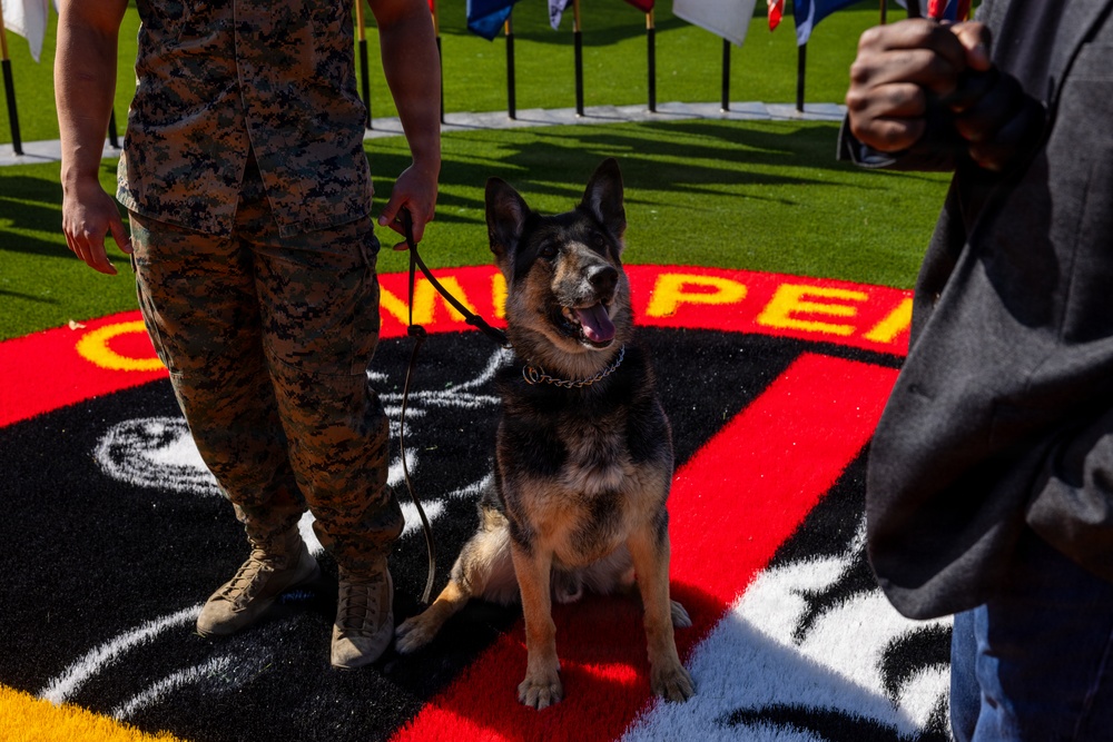 Last IMEF Active-duty Military working dog Retires
