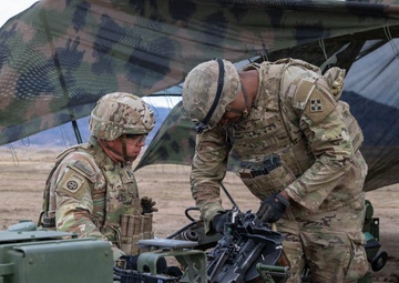 Ivy Sting 5: Howitzer Operations