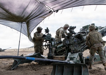 Ivy Sting 5: Howitzer Operations