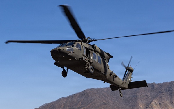 U.S. Marines with 12th LCT and U.S. Soldiers Execute an Aerial Insert