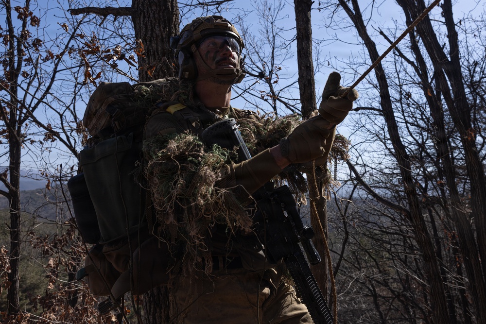 U.S. Marines with 12th LCT and U.S. Soldiers Execute an Aerial Insert