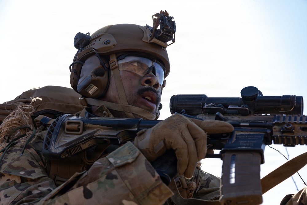 U.S. Marines with 12th LCT and U.S. Soldiers Execute an Aerial Insert