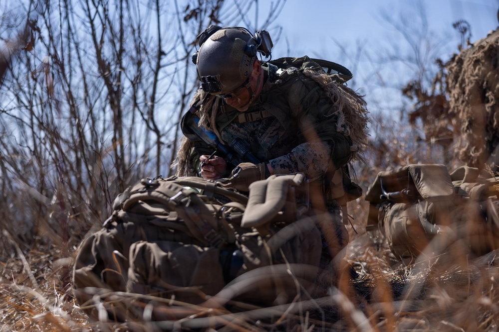 U.S. Marines with 12th LCT and U.S. Soldiers Execute an Aerial Insert