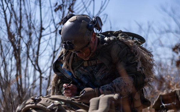 U.S. Marines with 12th LCT and U.S. Soldiers Execute an Aerial Insert