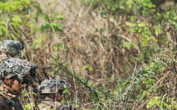 Task Force Ashland Marines, Sailors Conduct Combined Arms Live-Fire Exercise During Exercise Cobra Gold 26