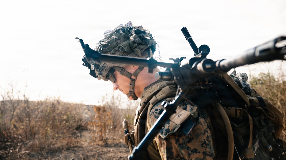 Task Force Ashland Marines, Sailors Conduct Combined Arms Live Fire Range During Exercise Cobra Gold 26