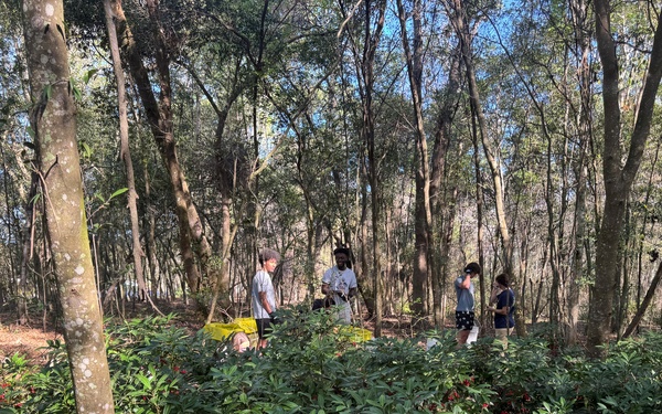 Wrangling Weeds one Invasive Plant at a time