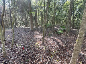 AFN Aviano Radio Spot: Spouses Dining In