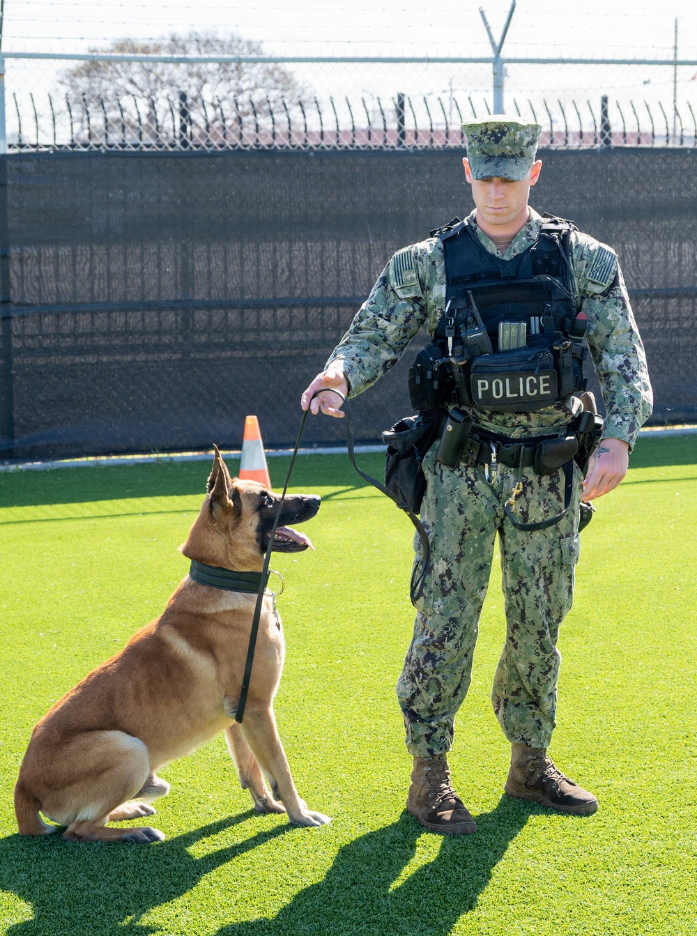 Naval Base San Diego Honors its K-9 Warfighters