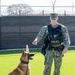 Naval Base San Diego Honors its K-9 Warfighters