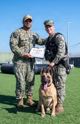Naval Base San Diego Honors its K-9 Warfighters