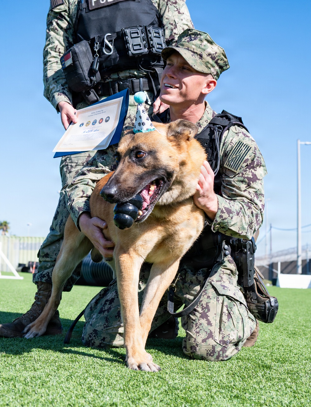 Naval Base San Diego Honors its K-9 Warfighters