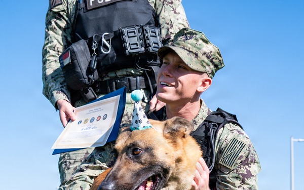 Naval Base San Diego Honors its K-9 Warfighters