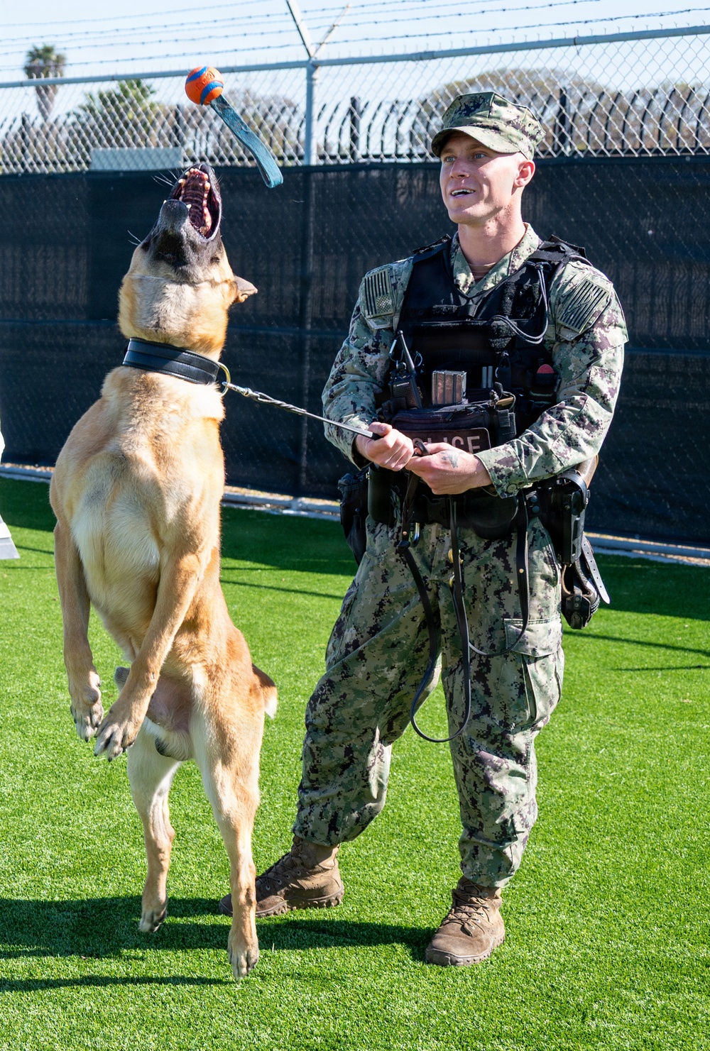 Naval Base San Diego Honors its K-9 Warfighters