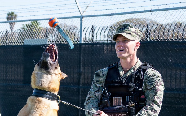 Naval Base San Diego Honors its K-9 Warfighters