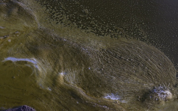 Salton Sea feasibility study progress takes center stage during ‘Tier 1’ meeting