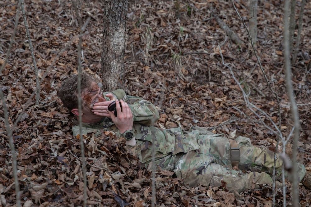 Silent Forest Camouflage