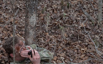 Silent Forest Camouflage