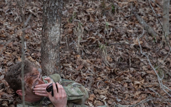 Silent Forest Camouflage