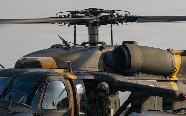 Operation Talon Reach During Freedom Shield 2026