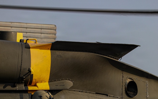 Operation Talon Reach During Freedom Shield 2026