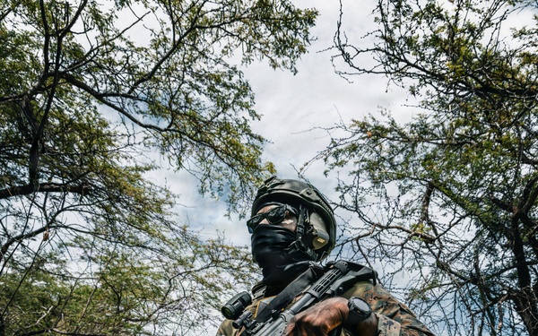 Exercise Tropical Dagger XIII