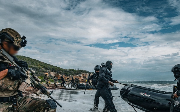 Tropical Dagger XIII