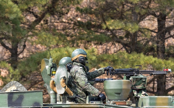 2-2 SBCT conducts tactical movement and defense training