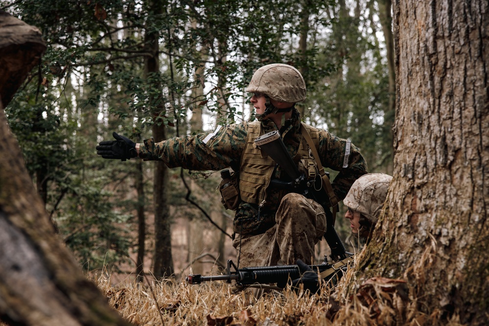 OCC 251 Company A conducts SULE 2