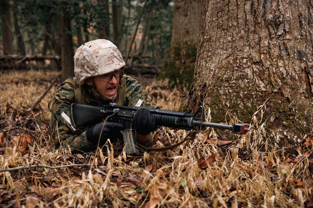 OCC 251 Company A conducts SULE 2