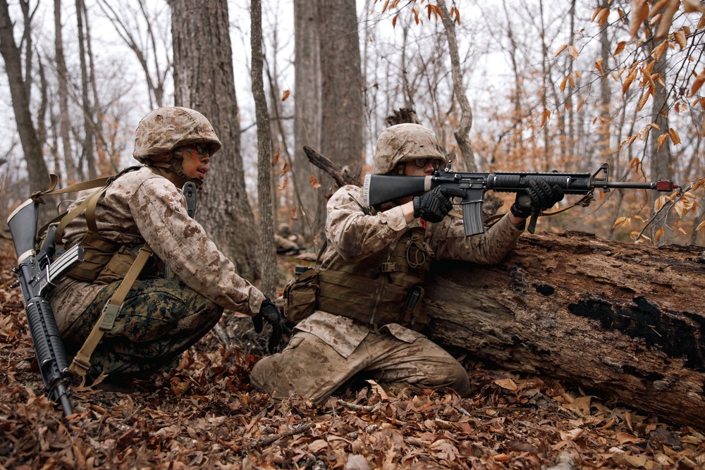 OCC 251 Company A conducts SULE 2