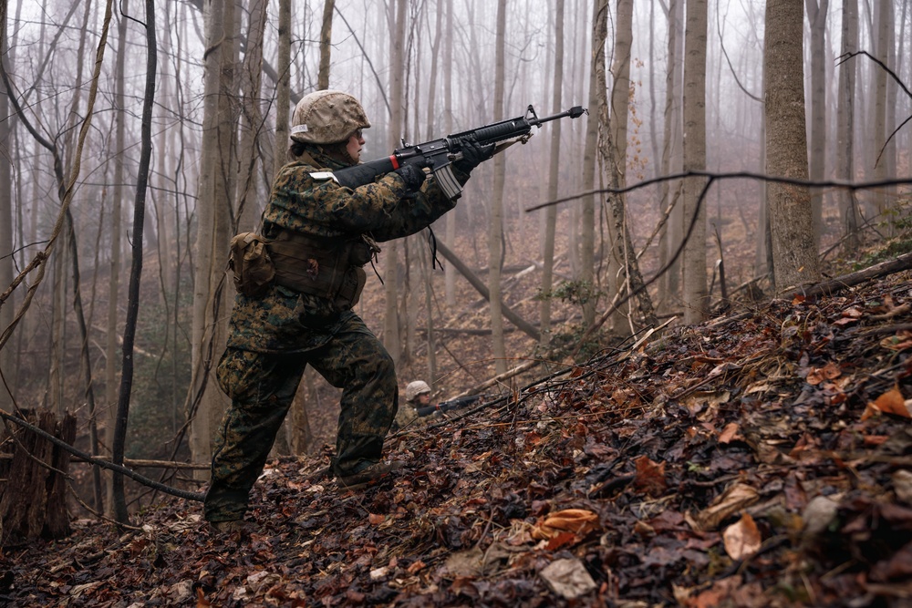 OCC 251 Company D conducts SULE 2