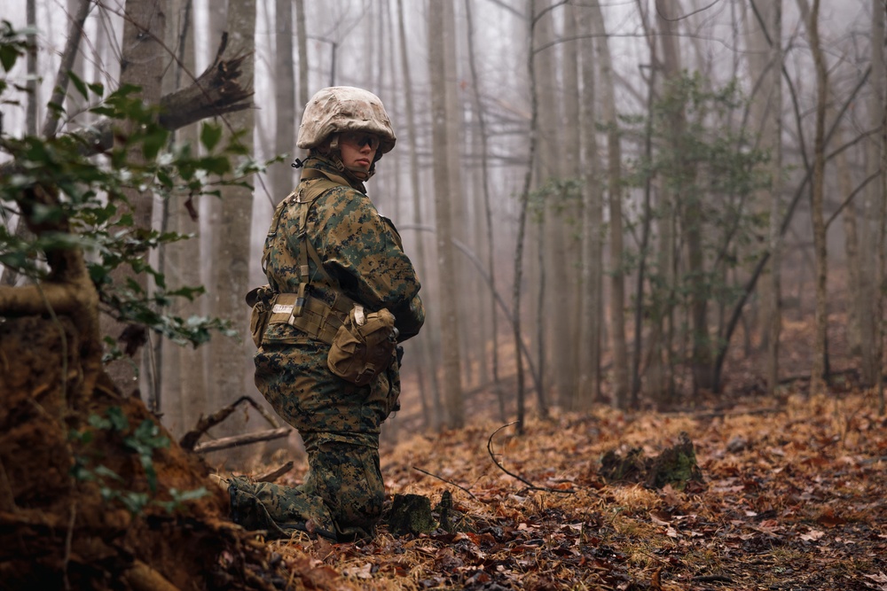 OCC 251 Company D conducts SULE 2