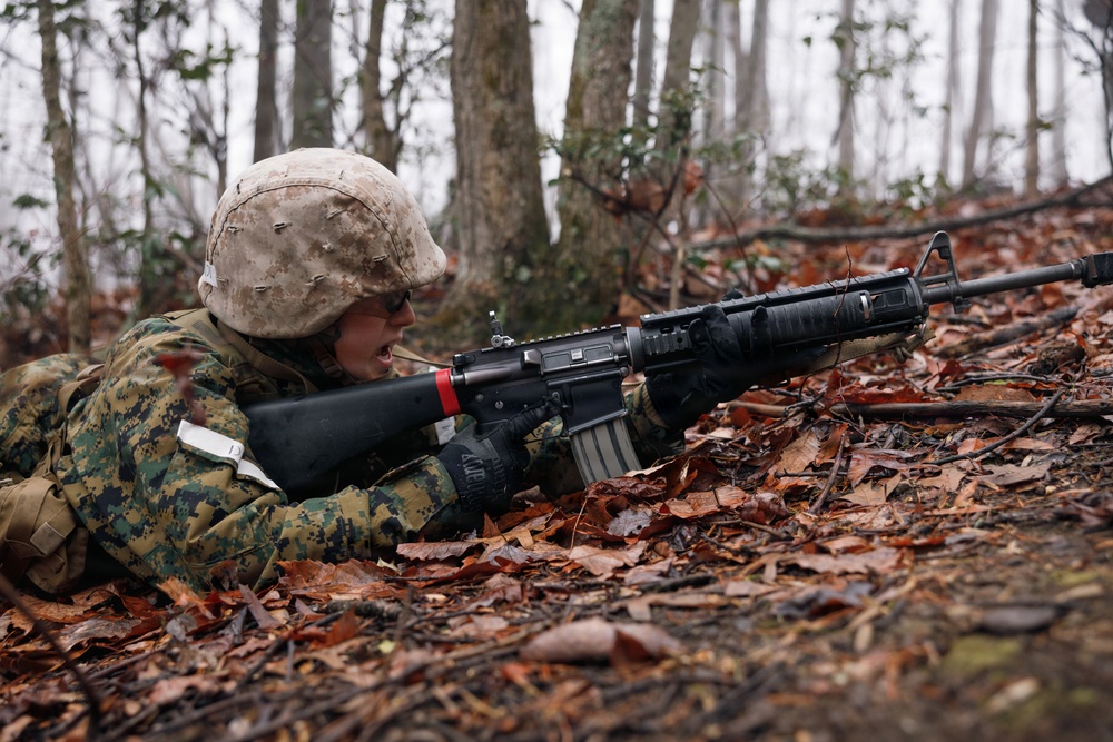 OCC 251 Company D conducts SULE 2