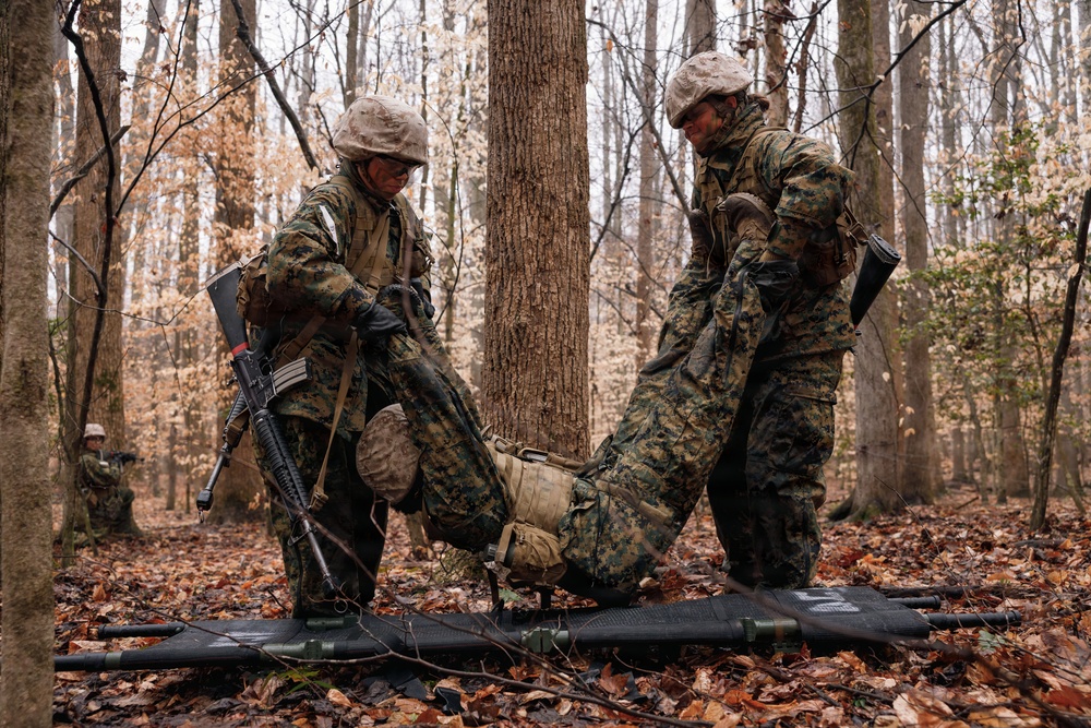 OCC 251 Company D conducts SULE 2