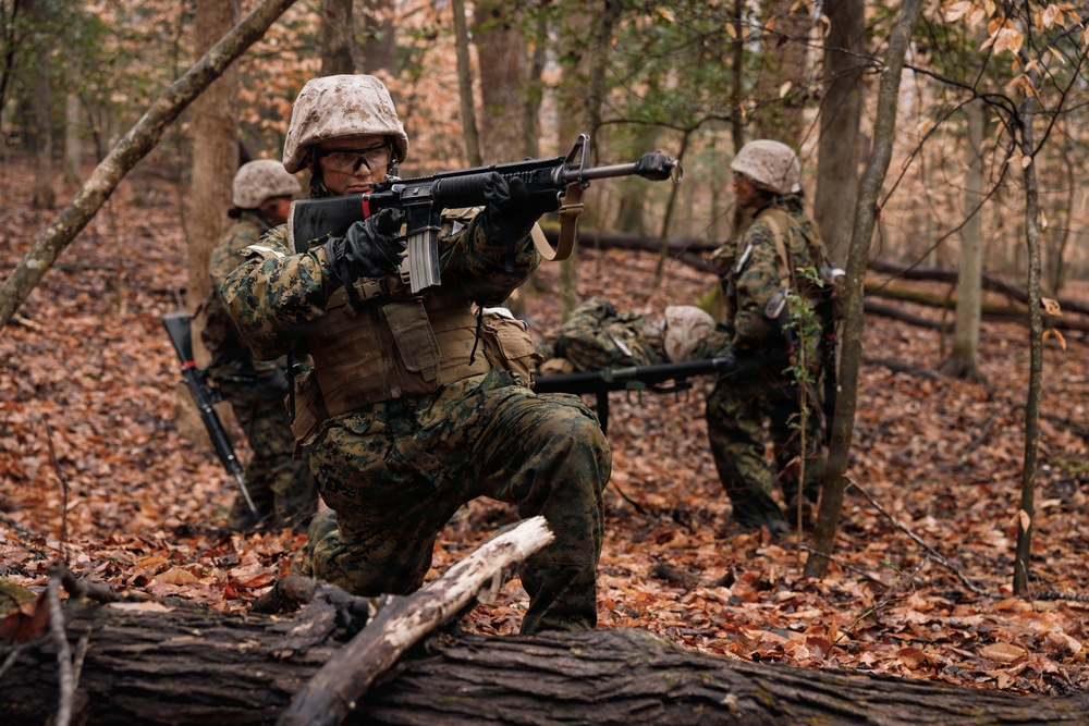 OCC 251 Company D conducts SULE 2