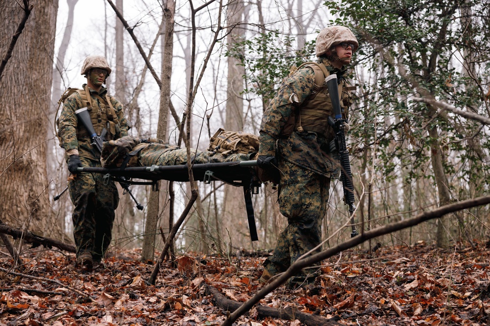 OCC 251 Company D conducts SULE 2