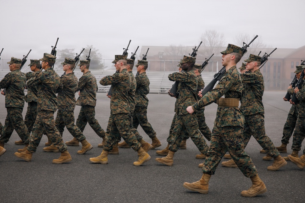 OCC 251 Company A and D Conducts Final Drill