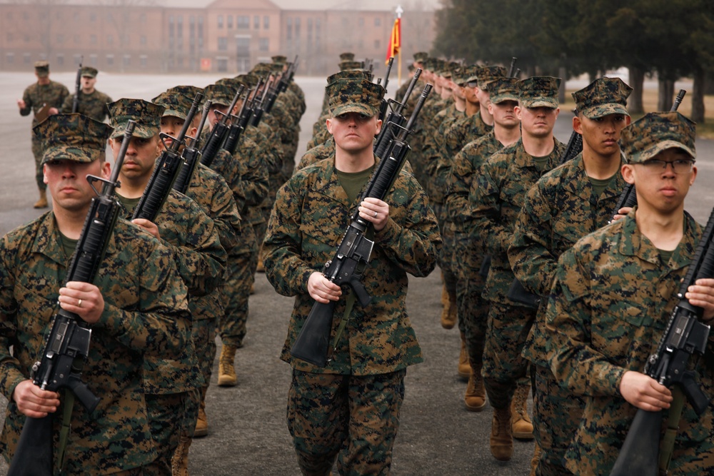 OCC 251 Company A and D Conducts Final Drill