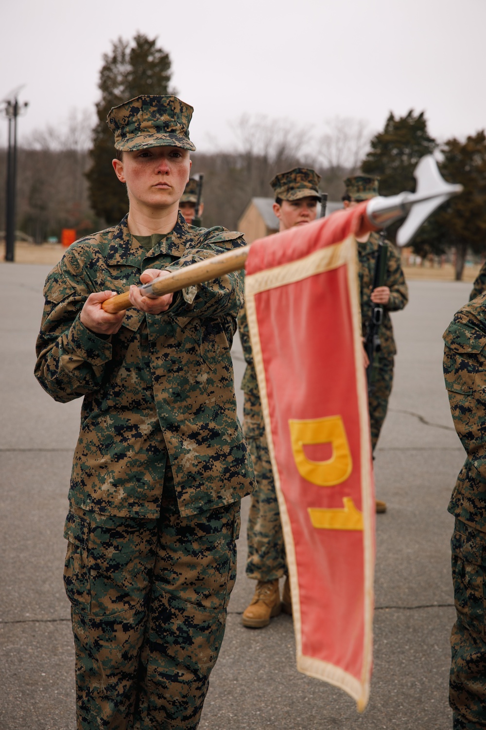 OCC 251 Company A and D Conducts Final Drill