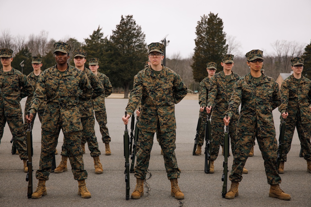 OCC 251 Company A and D Conducts Final Drill