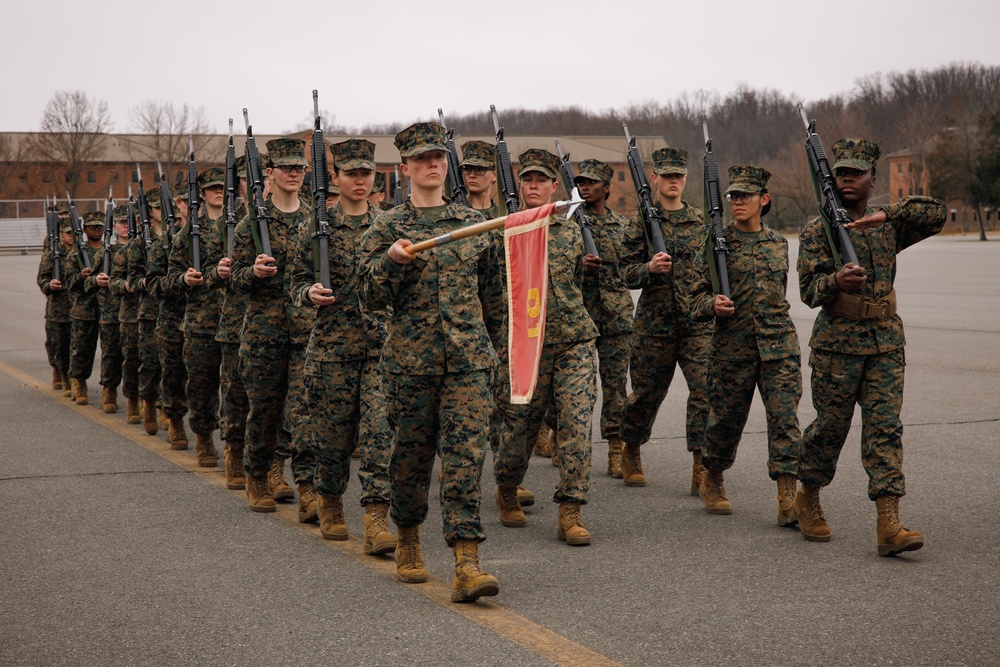 OCC 251 Company A and D Conducts Final Drill