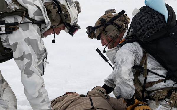 31 FW joins Swedish Rangers for CSAR training in the High North