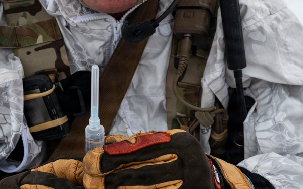 31 FW joins Swedish Rangers for CSAR training in the High North